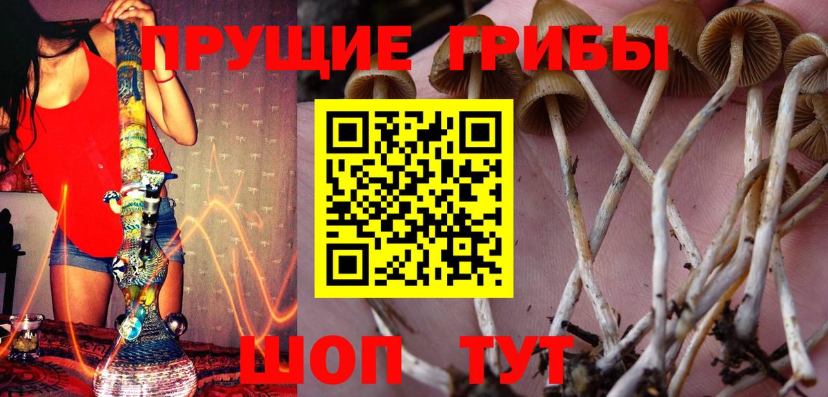 Псилоцибиновые грибы GOLDEN TEACHER  Вход с VPN  Галлюциногенные грибы Cubensis  Красноуфимск 